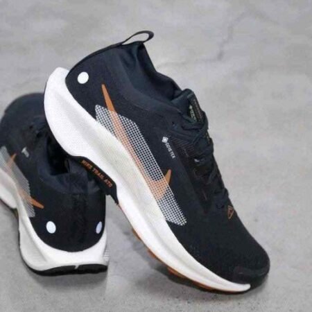 Nike Pegasus Trail 5 GTX Off Noir Black Monarch Pale Ivory